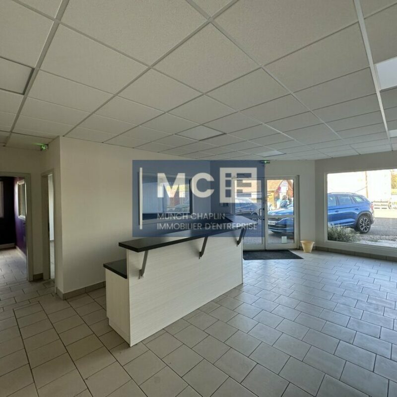 Location - 180 m² - MOMMENHEIM - 2