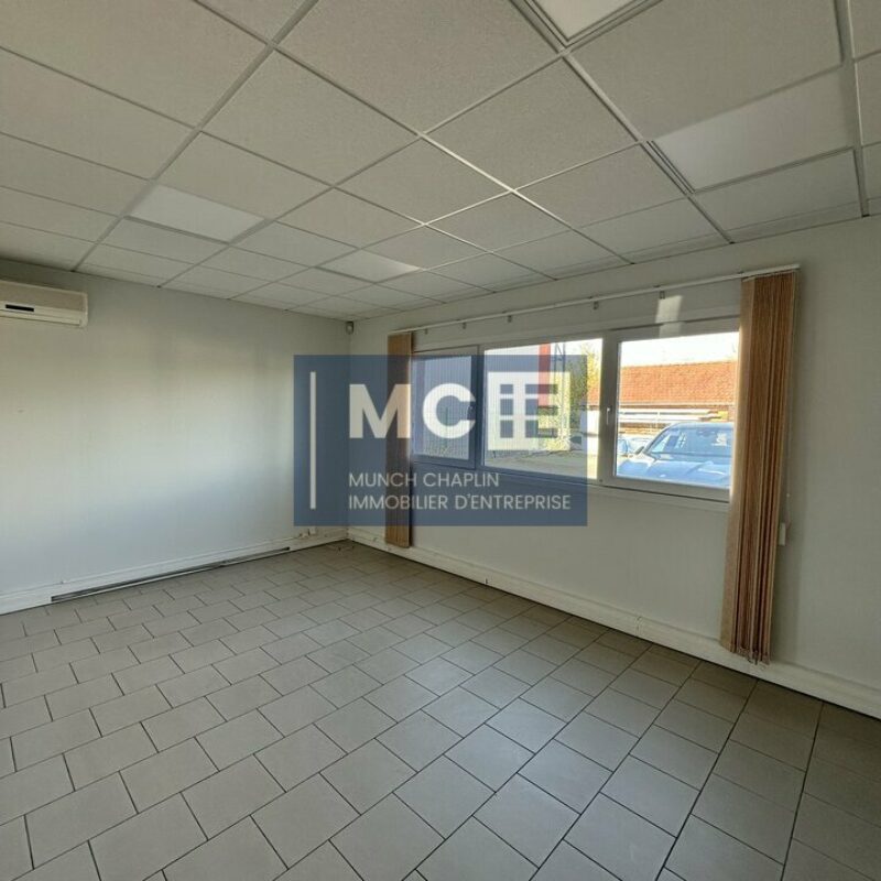Location - 180 m² - MOMMENHEIM - 3