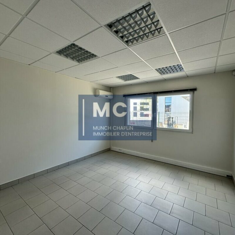 Location - 180 m² - MOMMENHEIM - 4