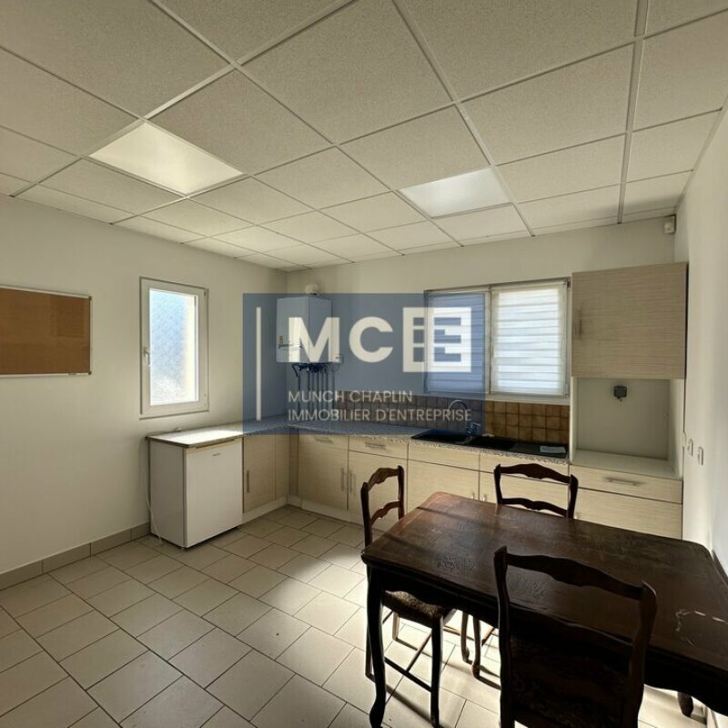 Location - 180 m² - MOMMENHEIM - 5