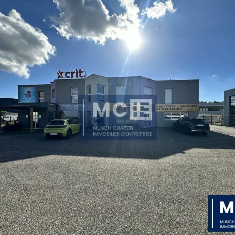 Location - 180 m² - MOMMENHEIM - 1