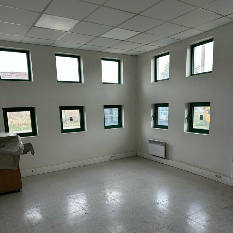 Location - 873 m² - REICHSTETT - 4